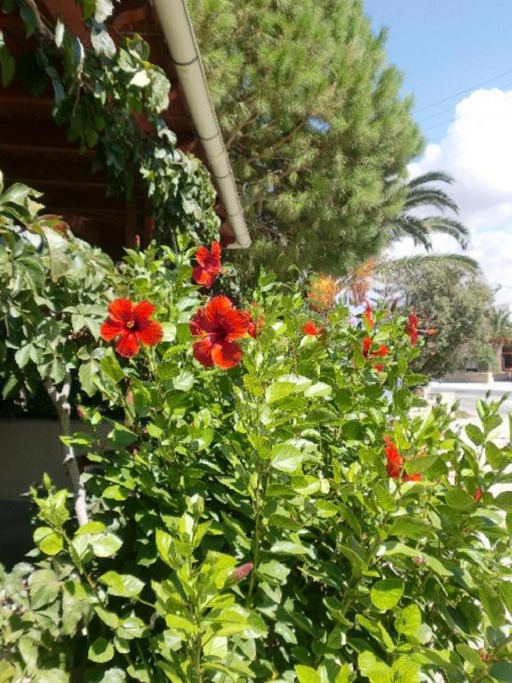 Hotel Neos Matala Bagian luar foto